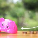 Failure of employment pension plans: the causes