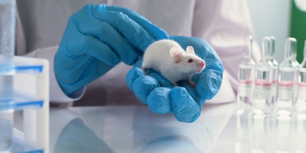 Enzymes in mice that would explain neurological disorders