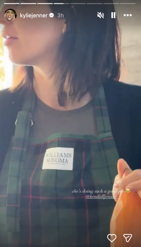 Kendall Jenner wearing a plaid Williams Sonoma apron.