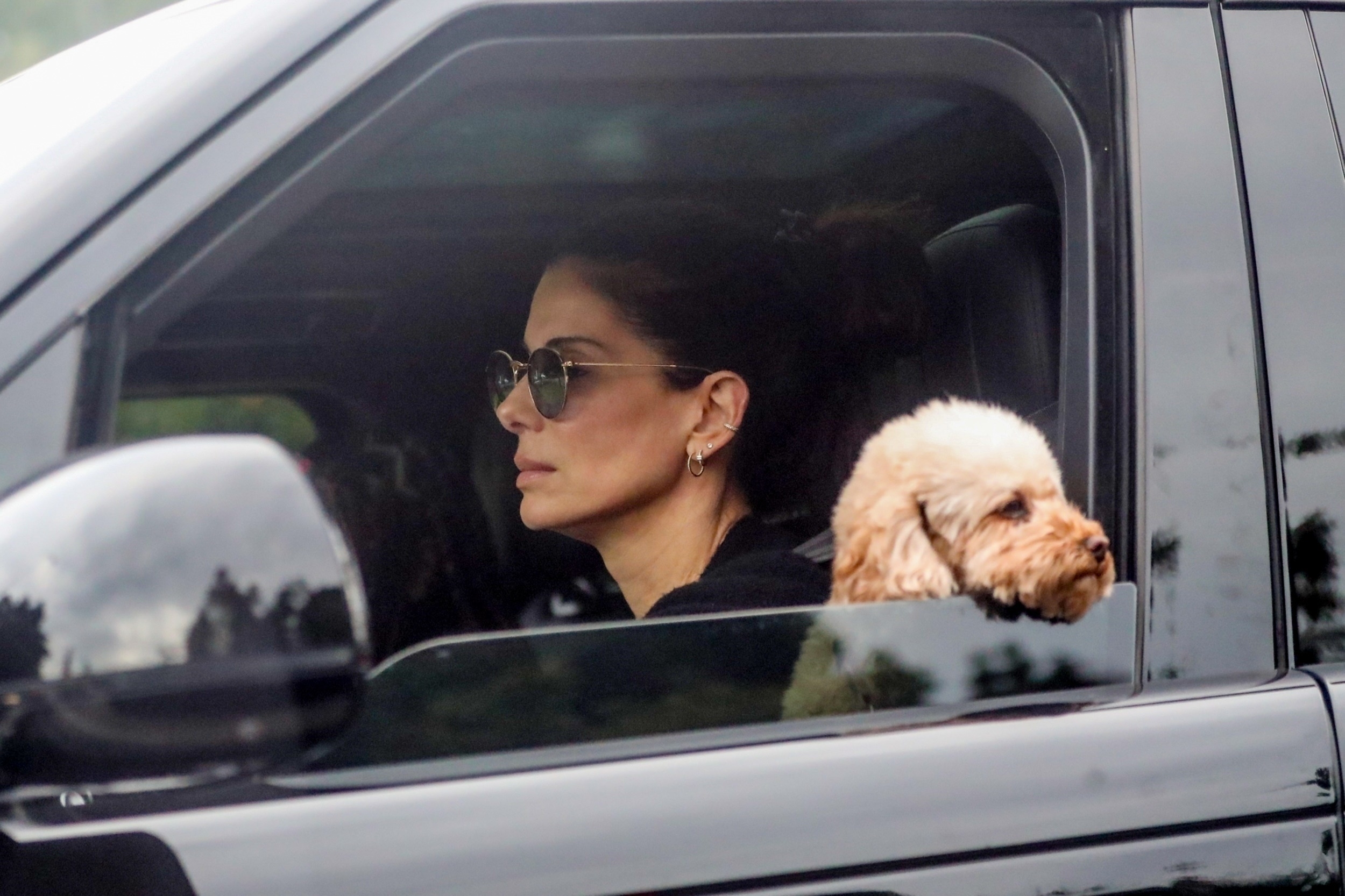 Sandra Bullock drives in Los Angeles with her son, Louis, as their dog peeks out the window.