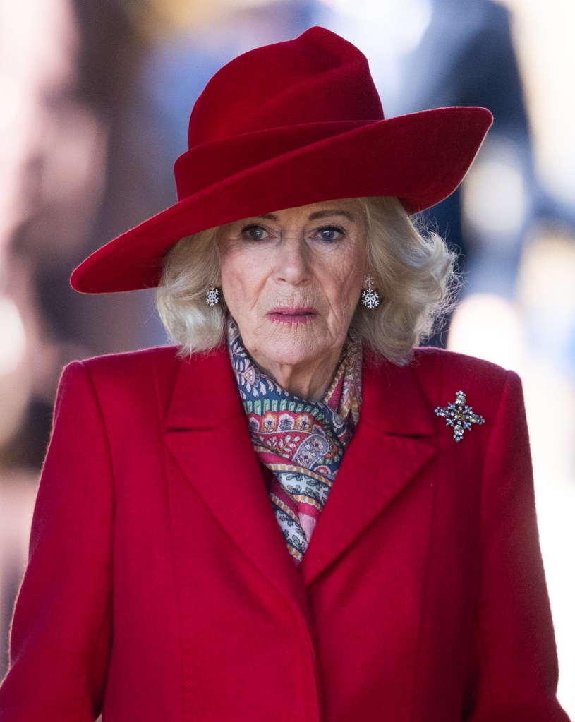 Queen Camilla at a public engagement in 2023.