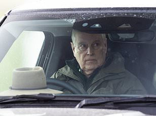 Prince Andrew seen in a car (file photo)