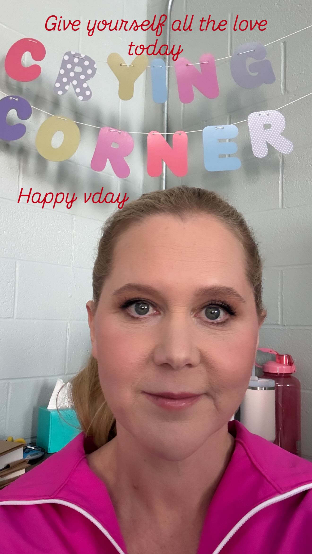 Amy Schumer sits in her self-described 'crying corner' on Valentine's Day, as seen on her Instagram Stories.