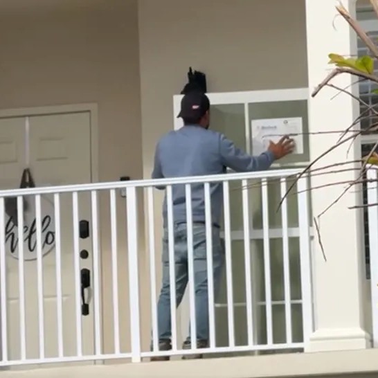 Donna Kelce Scores New Windows - Backgrid